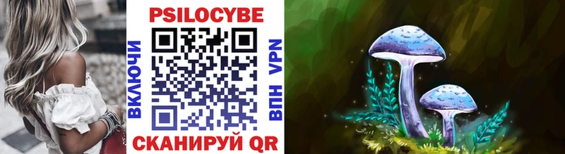 Купить где  Новая Усмань  Псилоцибиновые грибы GOLDEN TEACHER 